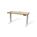 Butcher Block 48” Height-Adjustable Standing Office Desk
