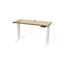 Butcher Block 48” Height-Adjustable Standing Office Desk