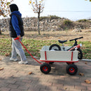 Wooden Carriage Outdoor Stroller