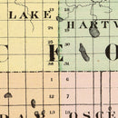 Vintage Map of Osceola County, Michigan 1873