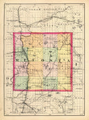 Vintage Map of Mecosta County, Michigan 1873