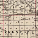 Vintage Map of Iroquois County, Illinois 1876