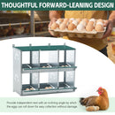 Chicken Nesting Box, 6 Room Metal Nesting Boxes for Chicken by HouseOfZazla