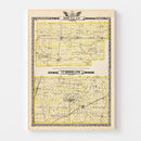 Vintage Map of Douglas County, Illinois 1876