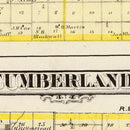Vintage Map of Douglas County, Illinois 1876