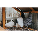 Galvanized Hardware Cloth, Chicken Wire Fence Roll For Garden And Animal Enclosures - Silver by HouseOfZazla
