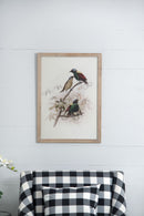 Bird Framed Print (Set of 2) - Multicolor by Unique Piece Furniture