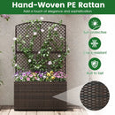 49 Inch Raised Garden Bed with Trellis and Wicker Planter Box by LJGDeals