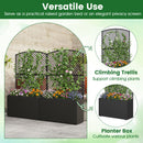 49 Inch Raised Garden Bed with Trellis and Wicker Planter Box