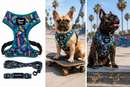 Totally Radical Reversible Dog Harness, Collar & Leash Set | Retro Gamer & Surf Skate Print | French Bulldog Harness by HouseOfZazla