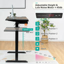 48 Inch Electric Sit to Stand Desk with Keyboard Tray by LJGDeals