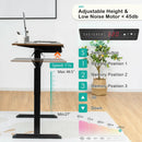 48 Inch Electric Sit to Stand Desk with Keyboard Tray by DirectDeals