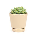 4 inch Oatmeal Minimalist Pot with Saucer