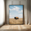 Bison Photography Wall Art Canvas Print – Framed Western