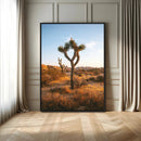 Joshua Tree Wall Art Canvas Print – Framed Golden Hour