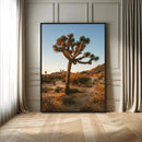 Joshua Tree Wall Art Canvas Print – Framed Desert Sunset by MyGreatCanvas | Canvas Wall Art Prints | Photo Prints & Wall Decor