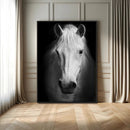 Large Wall Art White Horse Canvas Print