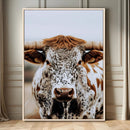 Texas Longhorn Wall Art Canvas Print – Spotted Horned Cattle