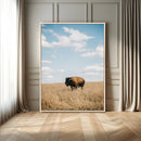 Bison Photography Wall Art Canvas Print – Framed Western