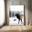 Elk Photography Wall Art Canvas Print – Framed Winter by MyGreatCanvas | Canvas Wall Art Prints | Photo Prints & Wall Decor