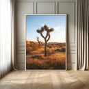 Joshua Tree Wall Art Canvas Print – Framed Golden Hour