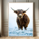 Highland Cow Wall Art Canvas Print – Framed Frosty Winter