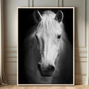 Large Wall Art White Horse Canvas Print