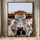 Texas Longhorn Wall Art Canvas Print – Spotted Horned Cattle