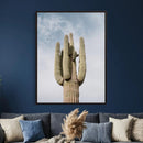 Desert Cactus Wall Art – Tall Spines Canvas Print, Arid by MyGreatCanvas | Canvas Wall Art Prints | Photo Prints & Wall Decor