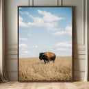 Bison Photography Wall Art Canvas Print – Framed Western by MyGreatCanvas | Canvas Wall Art Prints | Photo Prints & Wall Decor