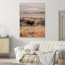 Solitary Buffalo Wall Art Canvas Print – Framed Golden