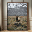 Wild Elk Wall Art Canvas Print – Framed Mountain Wilderness