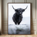 Frosty Black Highland Wall Art Canvas Print – Framed Moody