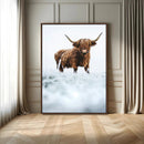 Highland Cow Wall Art Canvas Print – Framed Horned Scottish