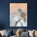 Barred Owl Wall Art Canvas Print – Soft Neutral Wildlife by MyGreatCanvas | Canvas Wall Art Prints | Photo Prints & Wall Decor