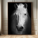 Large Wall Art White Horse Canvas Print
