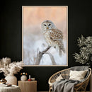 Barred Owl Wall Art Canvas Print – Soft Neutral Wildlife by MyGreatCanvas | Canvas Wall Art Prints | Photo Prints & Wall Decor