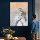 Barred Owl Wall Art Canvas Print – Soft Neutral Wildlife by MyGreatCanvas | Canvas Wall Art Prints | Photo Prints & Wall Decor