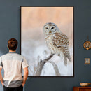 Barred Owl Wall Art Canvas Print – Soft Neutral Wildlife by MyGreatCanvas | Canvas Wall Art Prints | Photo Prints & Wall Decor