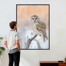Barred Owl Wall Art Canvas Print – Soft Neutral Wildlife by MyGreatCanvas | Canvas Wall Art Prints | Photo Prints & Wall Decor