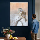 Barred Owl Wall Art Canvas Print – Soft Neutral Wildlife by MyGreatCanvas | Canvas Wall Art Prints | Photo Prints & Wall Decor