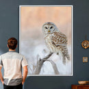 Barred Owl Wall Art Canvas Print – Soft Neutral Wildlife by MyGreatCanvas | Canvas Wall Art Prints | Photo Prints & Wall Decor
