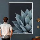 Agave Wall Art Canvas Print, Blue Green Succulent Botanical by MyGreatCanvas | Canvas Wall Art Prints | Photo Prints & Wall Decor