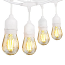 SL101 3000K Warm White LED Low Voltage Bistro String Lights 48 FT Outdoor Weatherproof 12V Edison Bulbs by Kings Outdoor Lighting