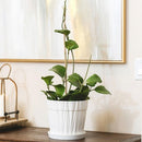 7 inch Decorative Ceramic Pot With Saucer