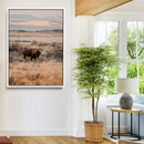 Solitary Buffalo Wall Art Canvas Print – Framed Golden