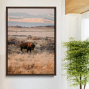 Solitary Buffalo Wall Art Canvas Print – Framed Golden by MyGreatCanvas | Canvas Wall Art Prints | Photo Prints & Wall Decor