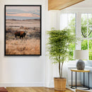 Solitary Buffalo Wall Art Canvas Print – Framed Golden