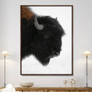 Western Rustic Wall Art Canvas Print Framed Buffalo