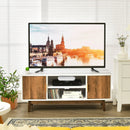 2 Door TV Stand with 2 Cabinets and Open Shelves for TVs up to 50 Inch TV by LJGDeals